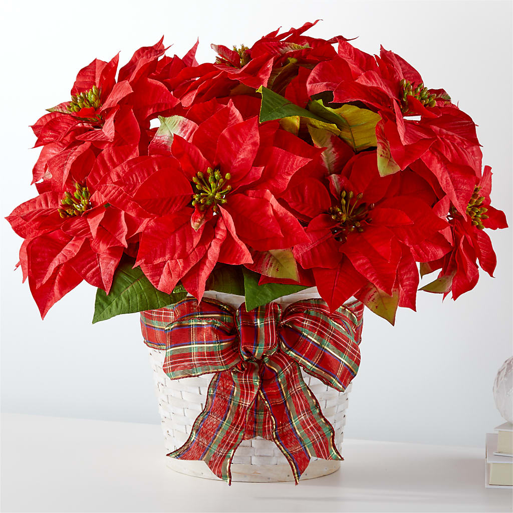 Happiest Holidays Poinsettia – Hy-vee, West Des Moines IA