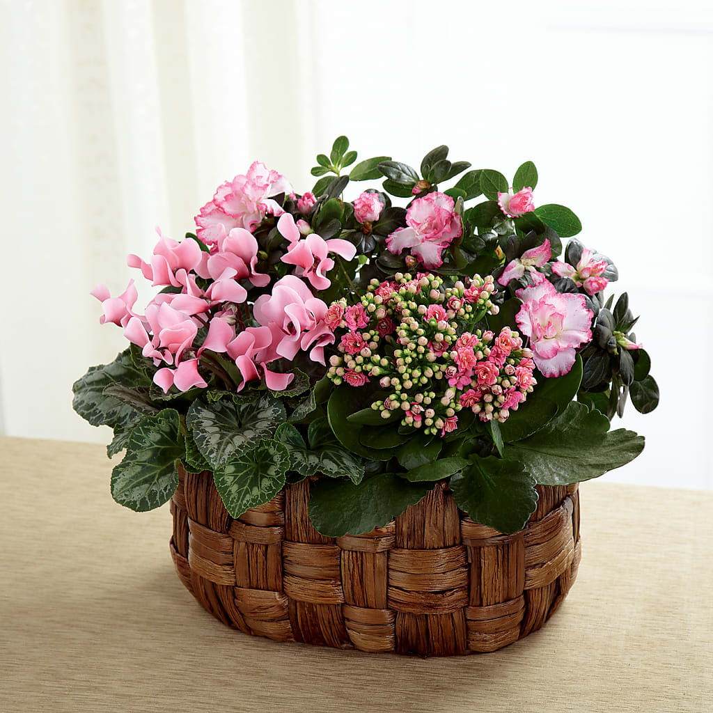 Pink Assortment – Hy-vee, West Des Moines IA
