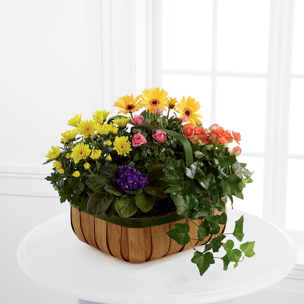 Gentle Blossoms Basket – Hy-vee, West Des Moines IA
