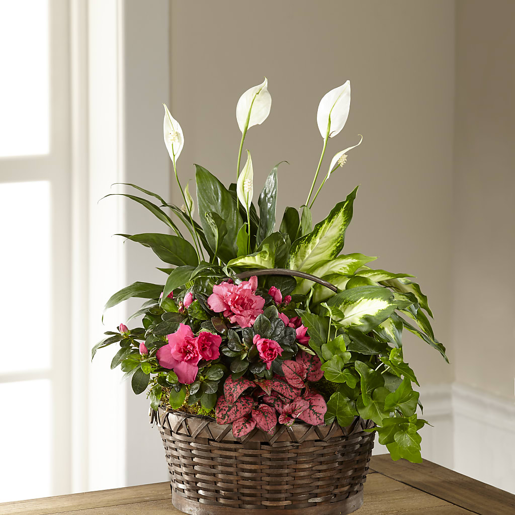 Dream in Pink Dishgarden – Hy-vee, West Des Moines IA