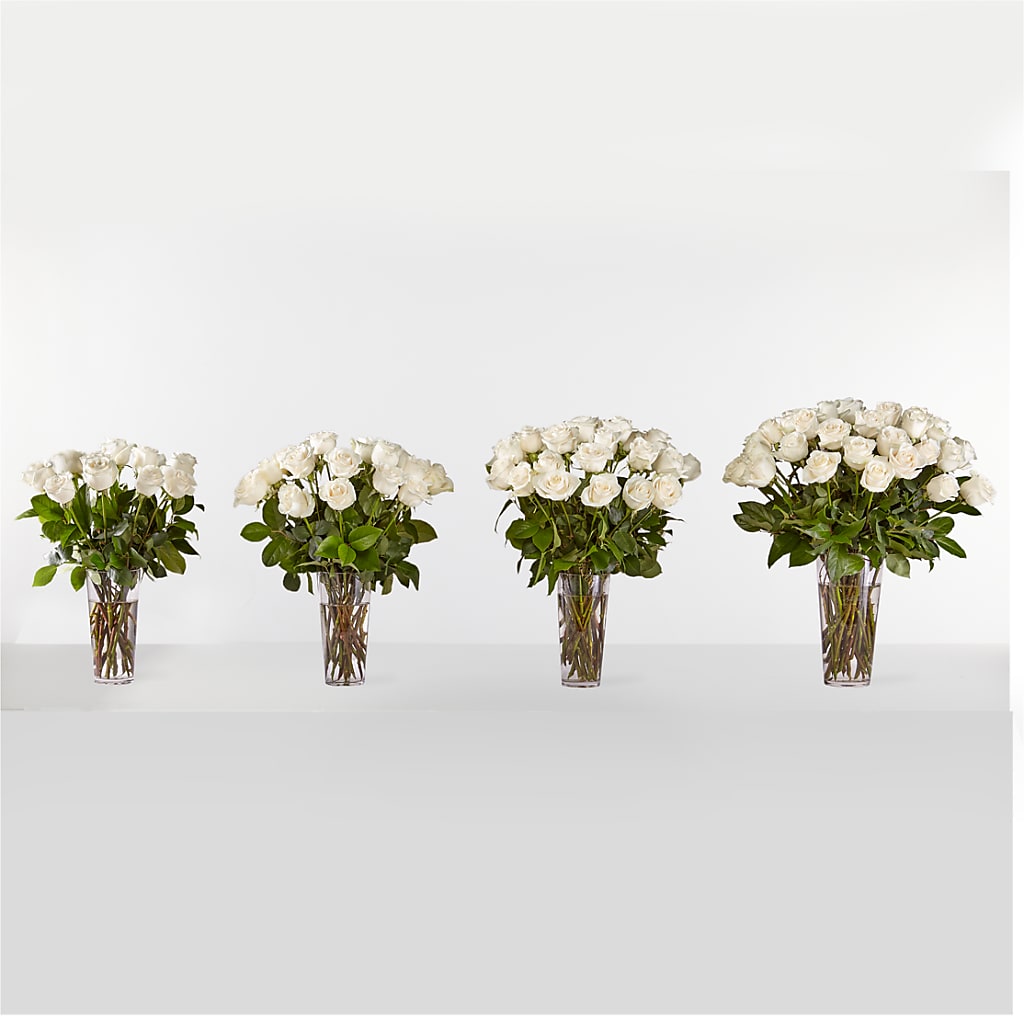 Long Stem White Rose Bouquet – Hy-vee, West Des Moines IA