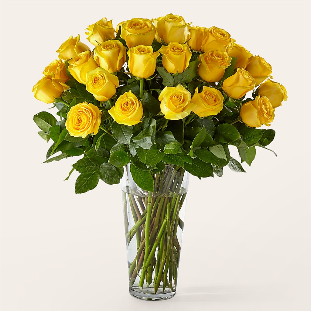 Long Stem Yellow Rose Bouquet – Hy-vee, West Des Moines IA