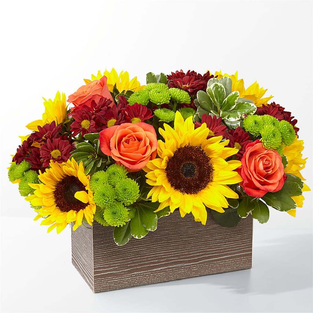 Happy Harvest Garden – Hy-vee, West Des Moines IA