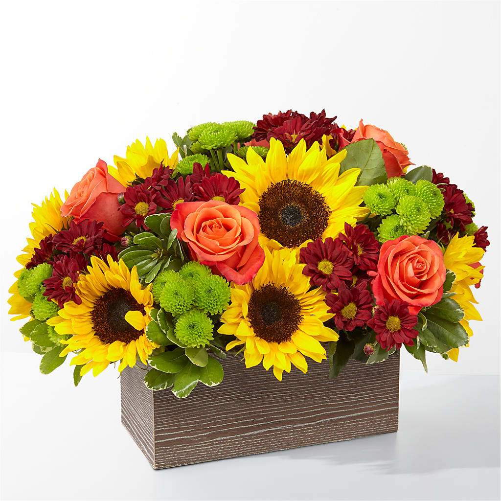 Happy Harvest Garden – Hy-vee, West Des Moines IA