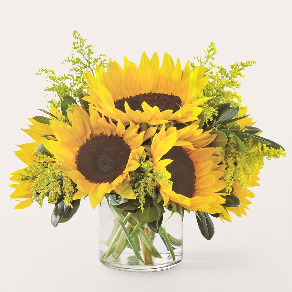 Beaming Sunflower Bouquet – Hy-vee, West Des Moines IA