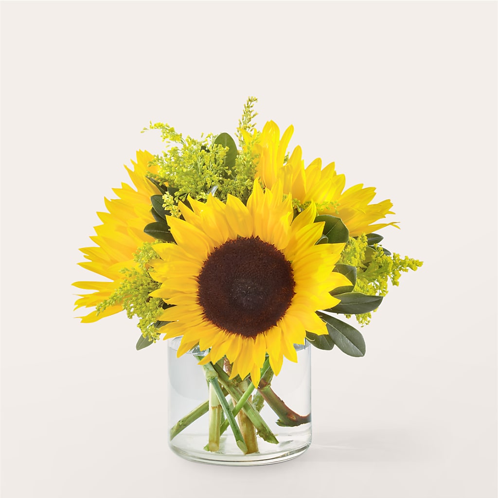 Beaming Sunflower Bouquet – Hy-vee, West Des Moines IA