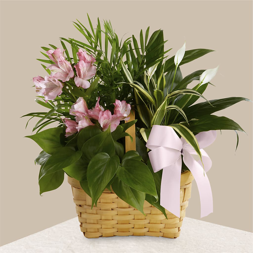 Living Spirit Dishgarden – Hy-vee, West Des Moines IA