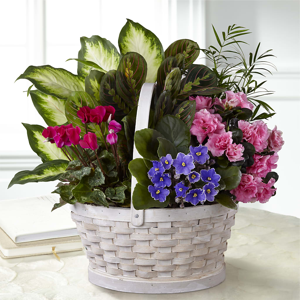 Peaceful Garden Planter – Hy-vee, West Des Moines IA
