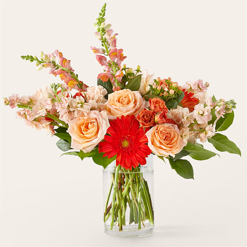 Paloma Please Bouquet – Hy-vee, West Des Moines IA