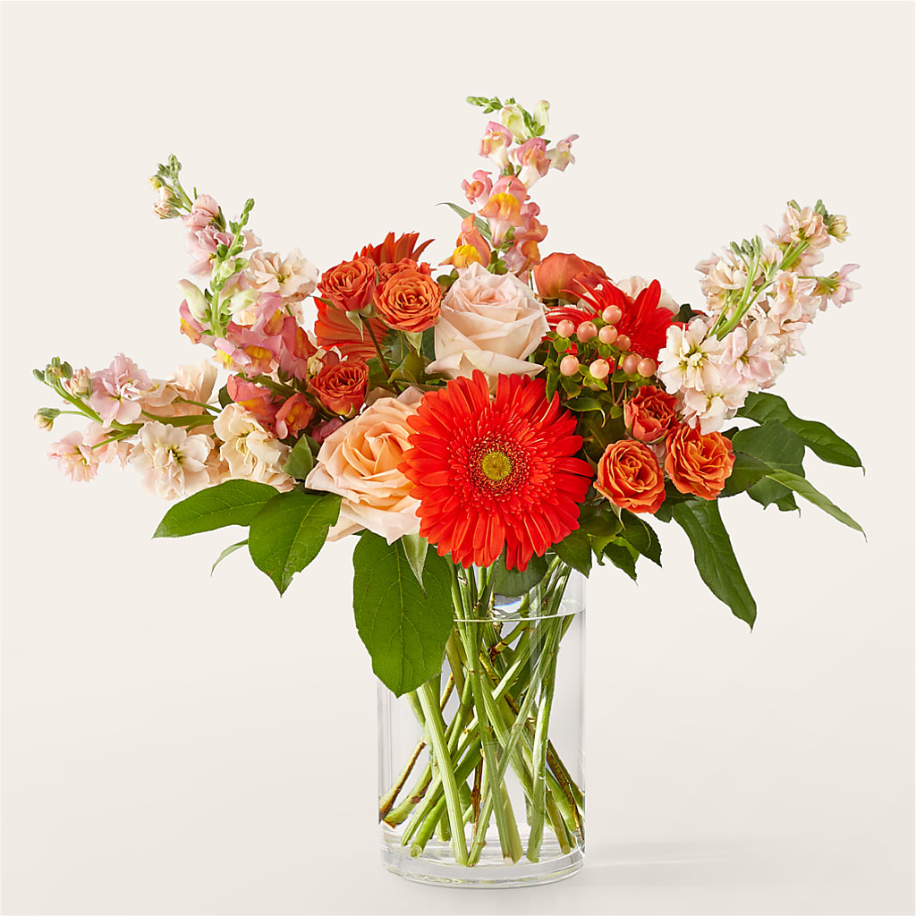 Paloma Please Bouquet – Hy-vee, West Des Moines IA