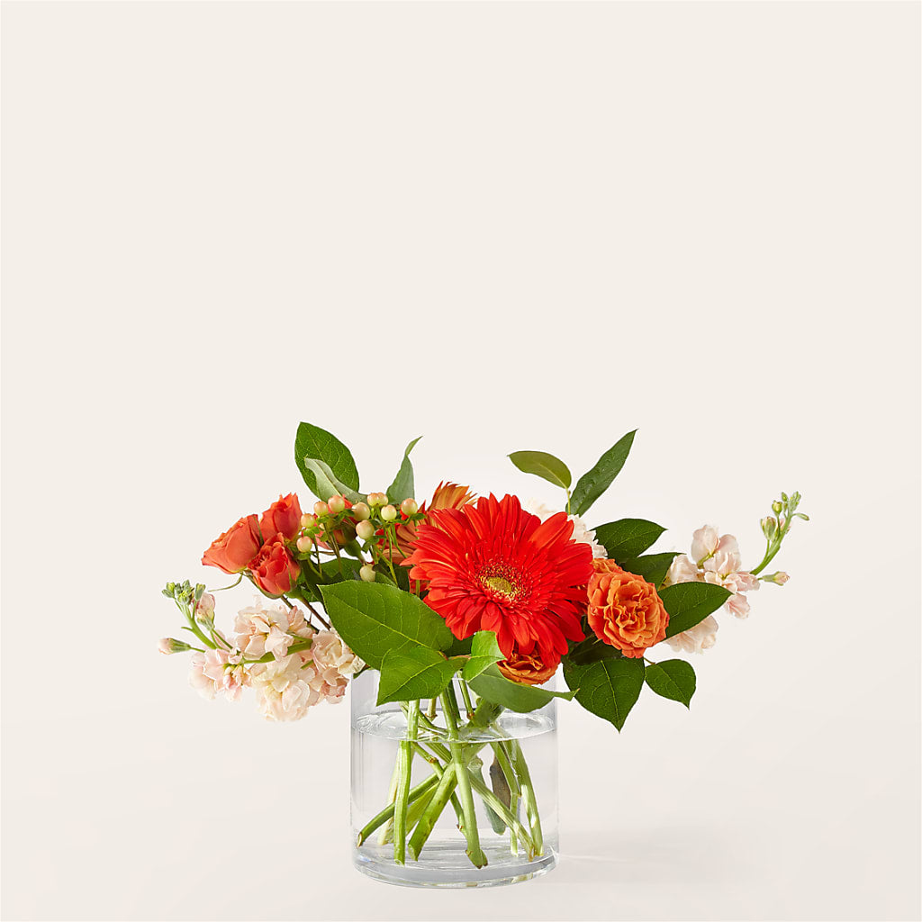 Paloma Please Bouquet – Hy-vee, West Des Moines IA