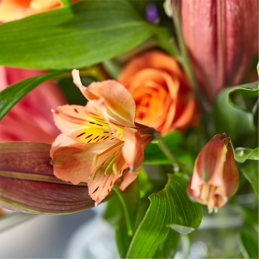 Bold & Bright – A Florist Original –  Hy-vee, West Des Moines IA
