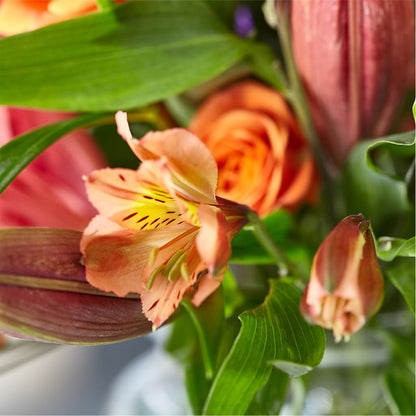 Bold & Bright – A Florist Original –  Hy-vee, West Des Moines IA