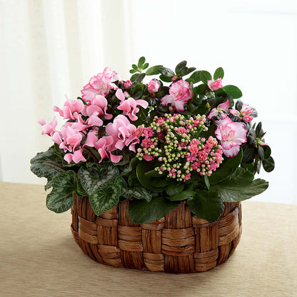 Pink Assortment –  Hy-vee, West Des Moines IA