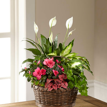 Dream in Pink Dishgarden –  Hy-vee, West Des Moines IA