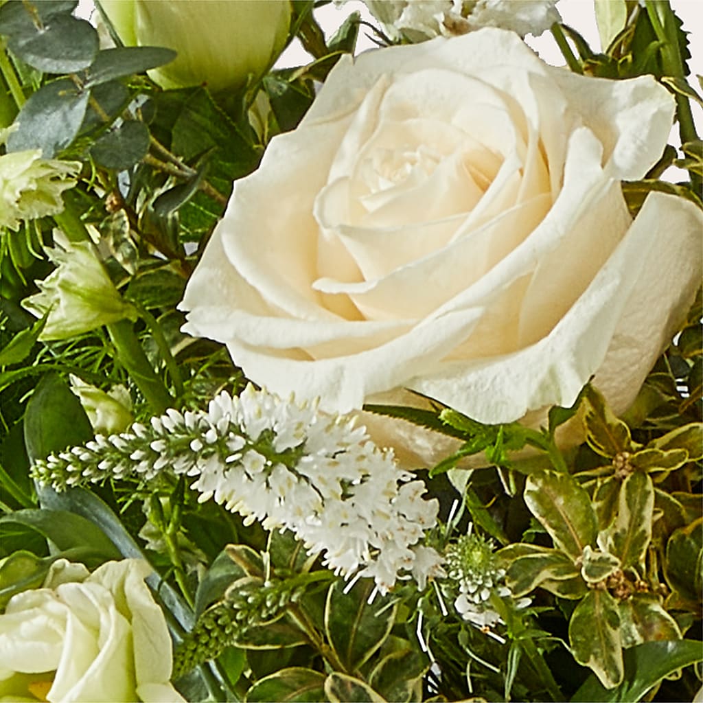 Cashmere Bouquet –  Hy-vee, West Des Moines IA
