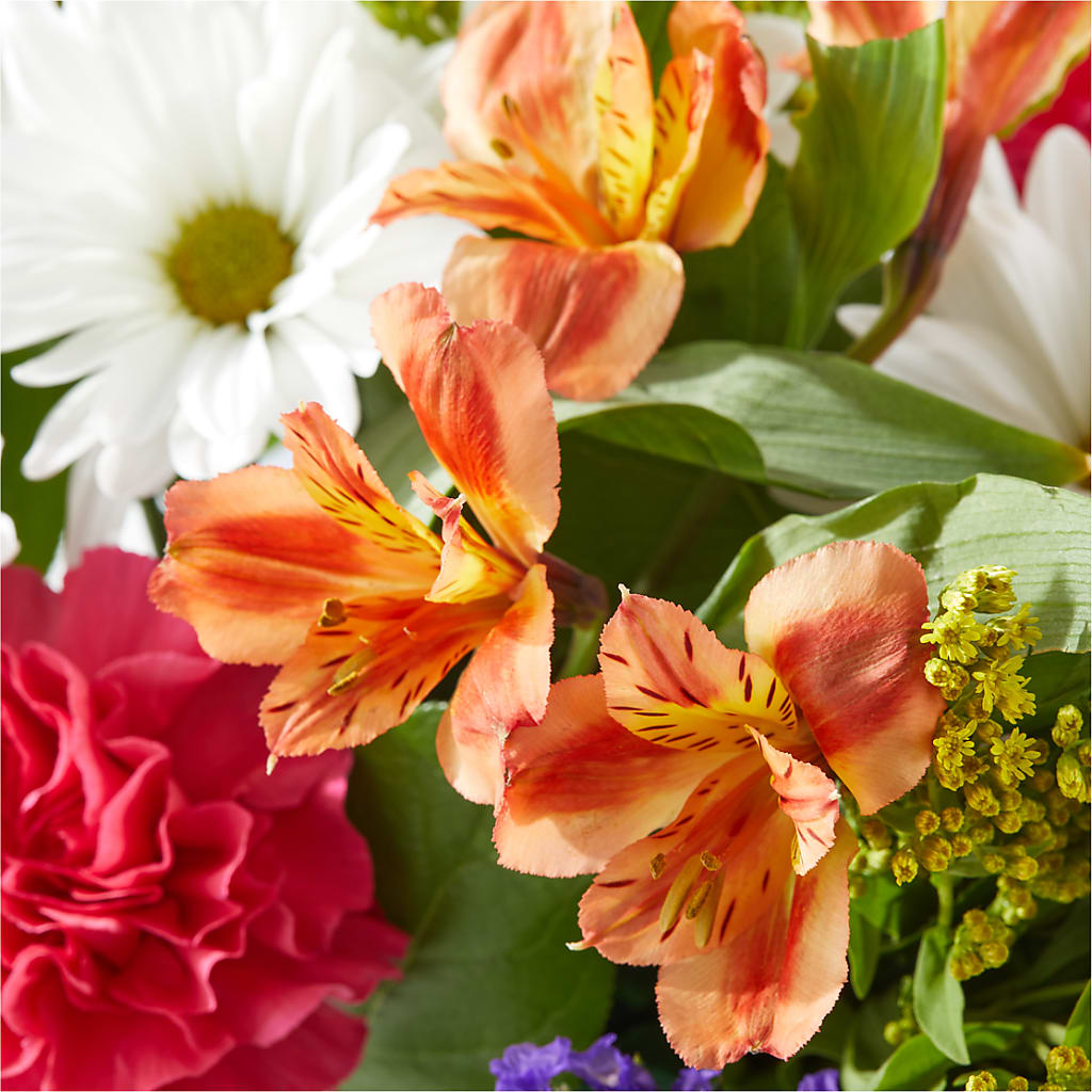 Oopsie Daisy Box Bouquet –  Hy-vee, West Des Moines IA