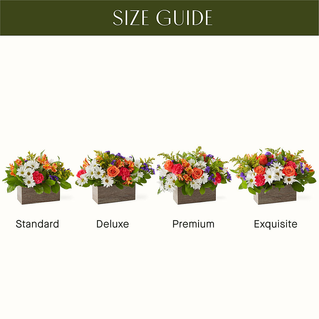 Oopsie Daisy Box Bouquet –  Hy-vee, West Des Moines IA