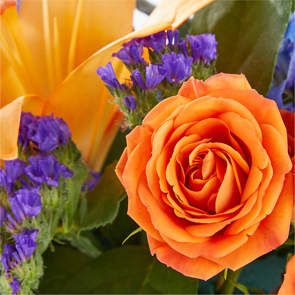 Radiant Citrus Box Bouquet –  Hy-vee, West Des Moines IA