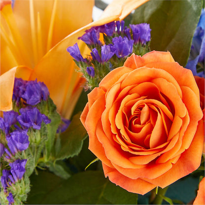Radiant Citrus Box Bouquet –  Hy-vee, West Des Moines IA