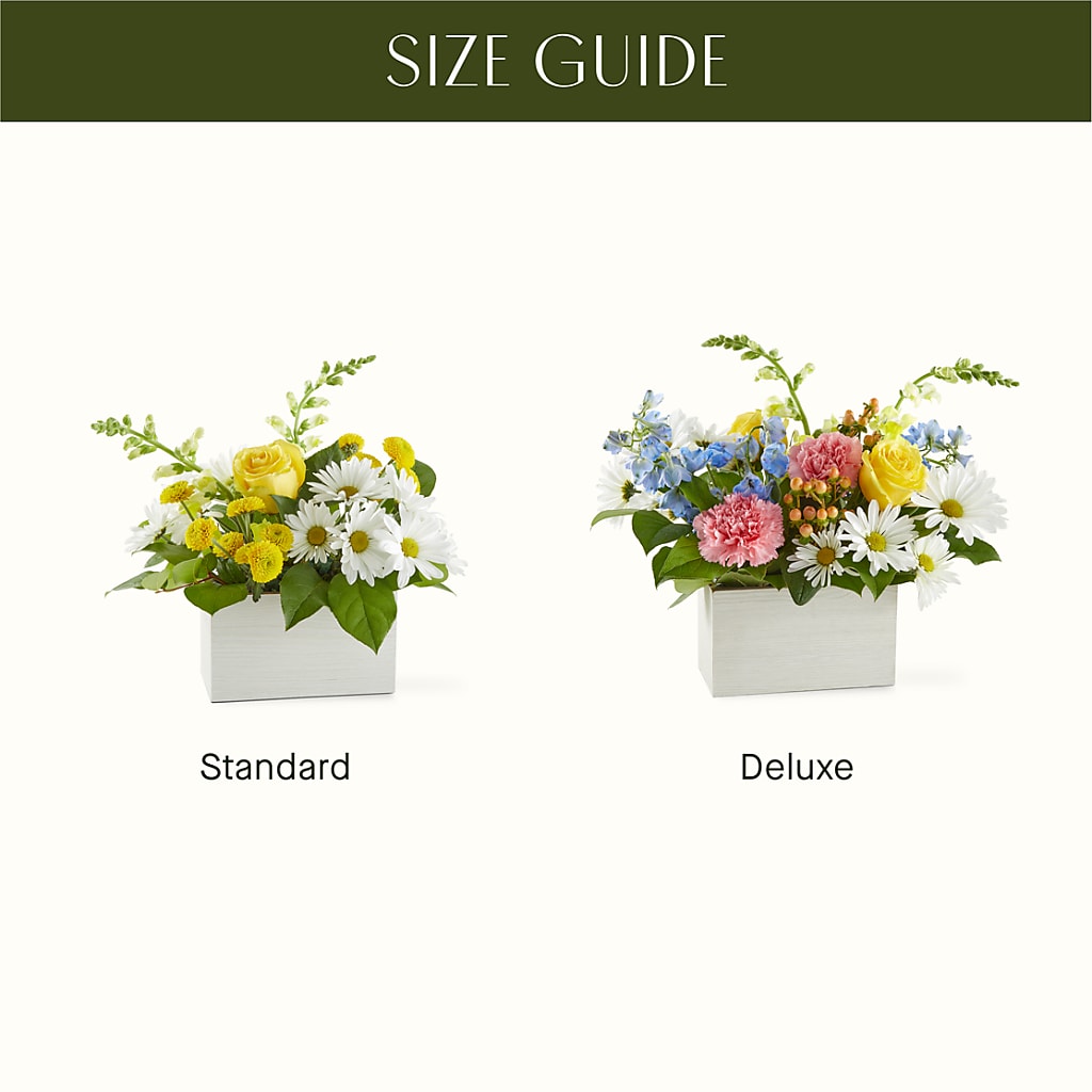 Sun Salutation Box Bouquet –  Hy-vee, West Des Moines IA