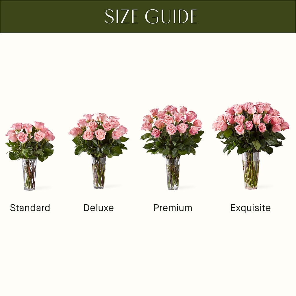 Long Stem Pink Rose Bouquet –  Hy-vee, West Des Moines IA