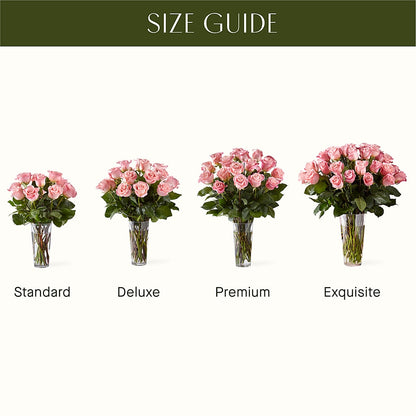 Long Stem Pink Rose Bouquet –  Hy-vee, West Des Moines IA