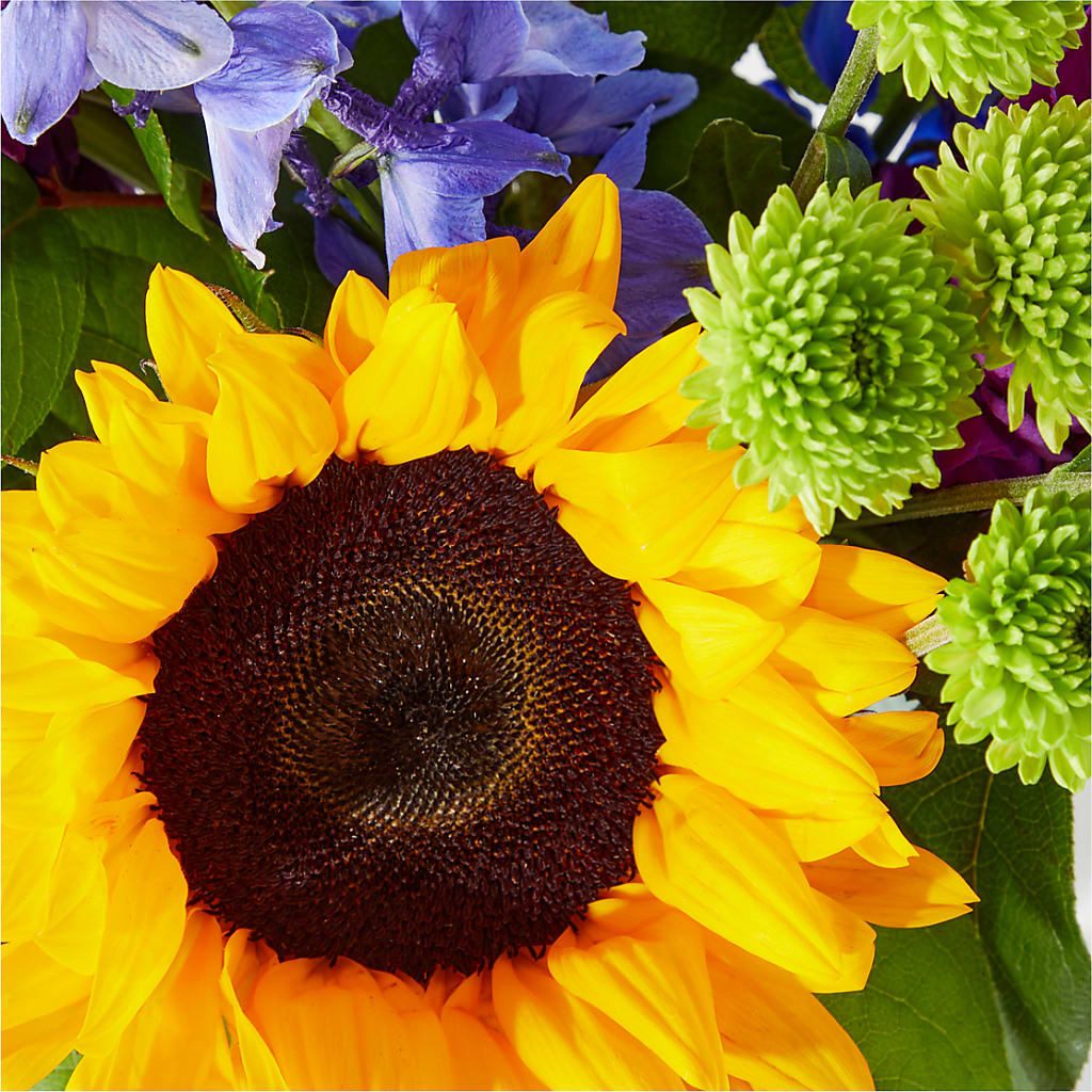 Catching Rays Bouquet –  Hy-vee, West Des Moines IA