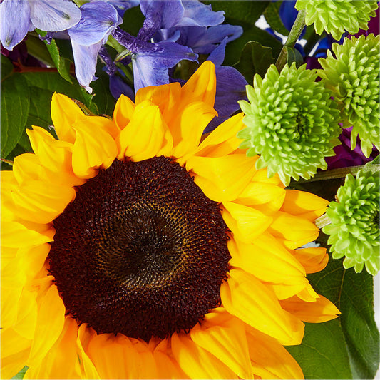 Catching Rays Bouquet –  Hy-vee, West Des Moines IA