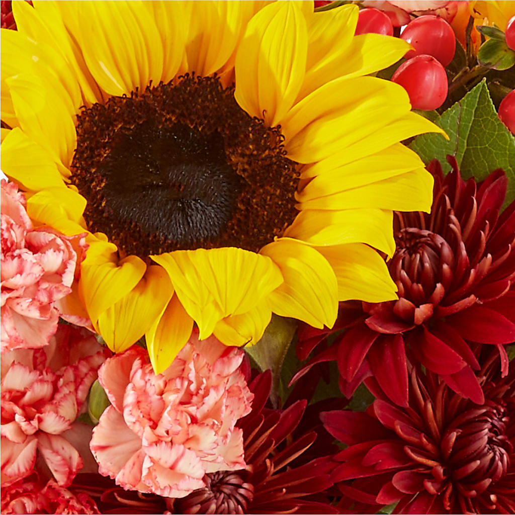 Fresh Cider Bouquet –  Hy-vee, West Des Moines IA