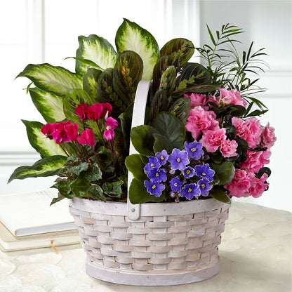 Peaceful Garden Planter –  Hy-vee, West Des Moines IA