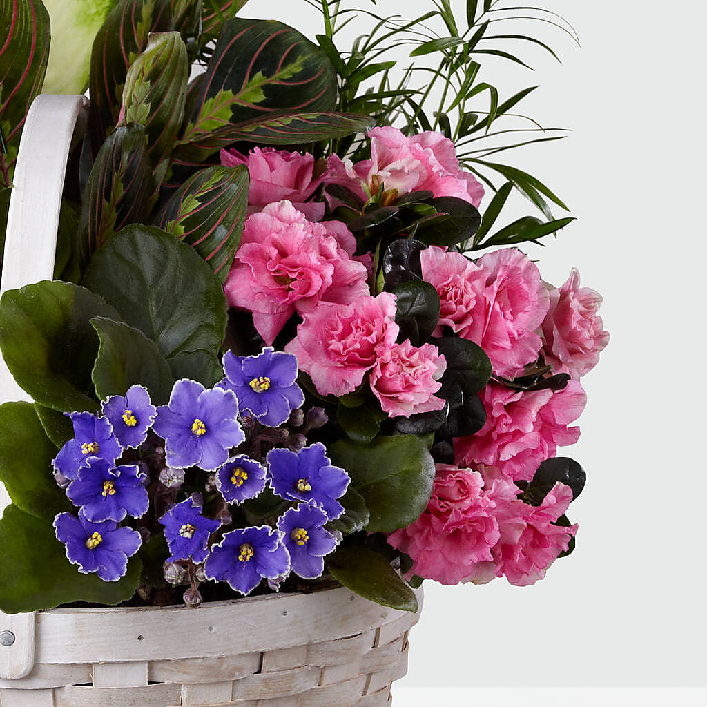Peaceful Garden Planter –  Hy-vee, West Des Moines IA