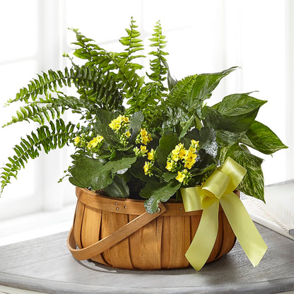 Always Dear Dishgarden –  Hy-vee, West Des Moines IA