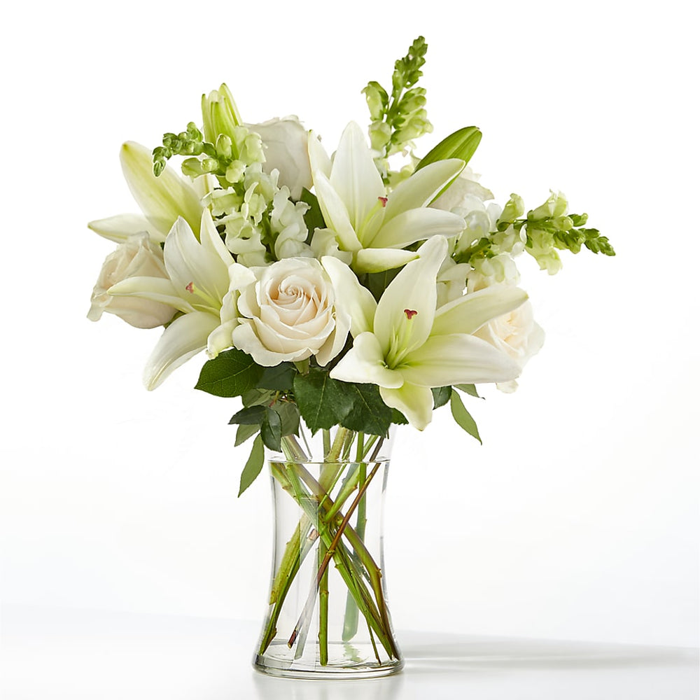 Sympathy Collection Sets