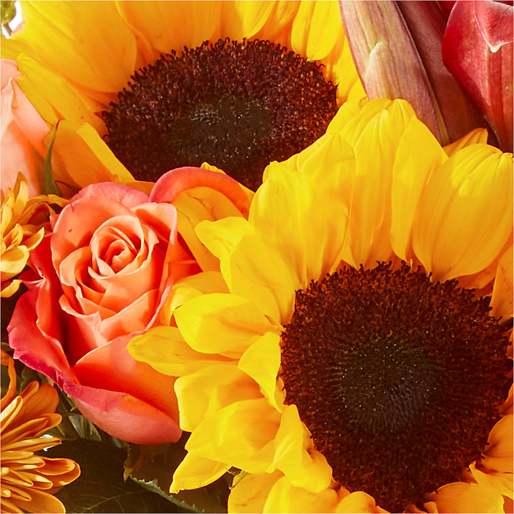 Acorn Lane Bouquet –  Hy-vee, West Des Moines IA