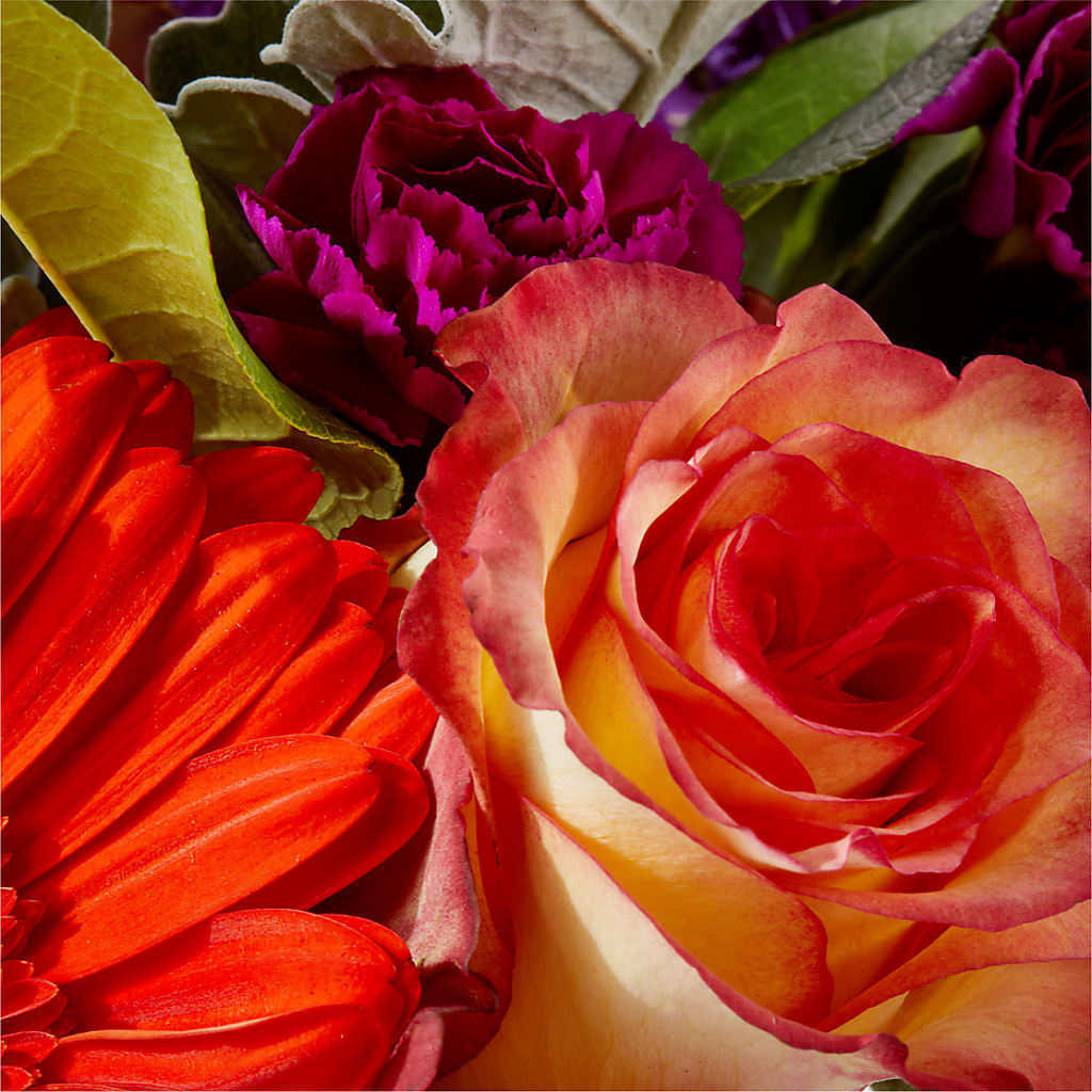 Sangria Bouquet –  Hy-vee, West Des Moines IA