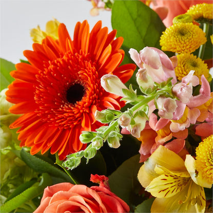 Autumn Sunshine Bouquet –  Hy-vee, West Des Moines IA