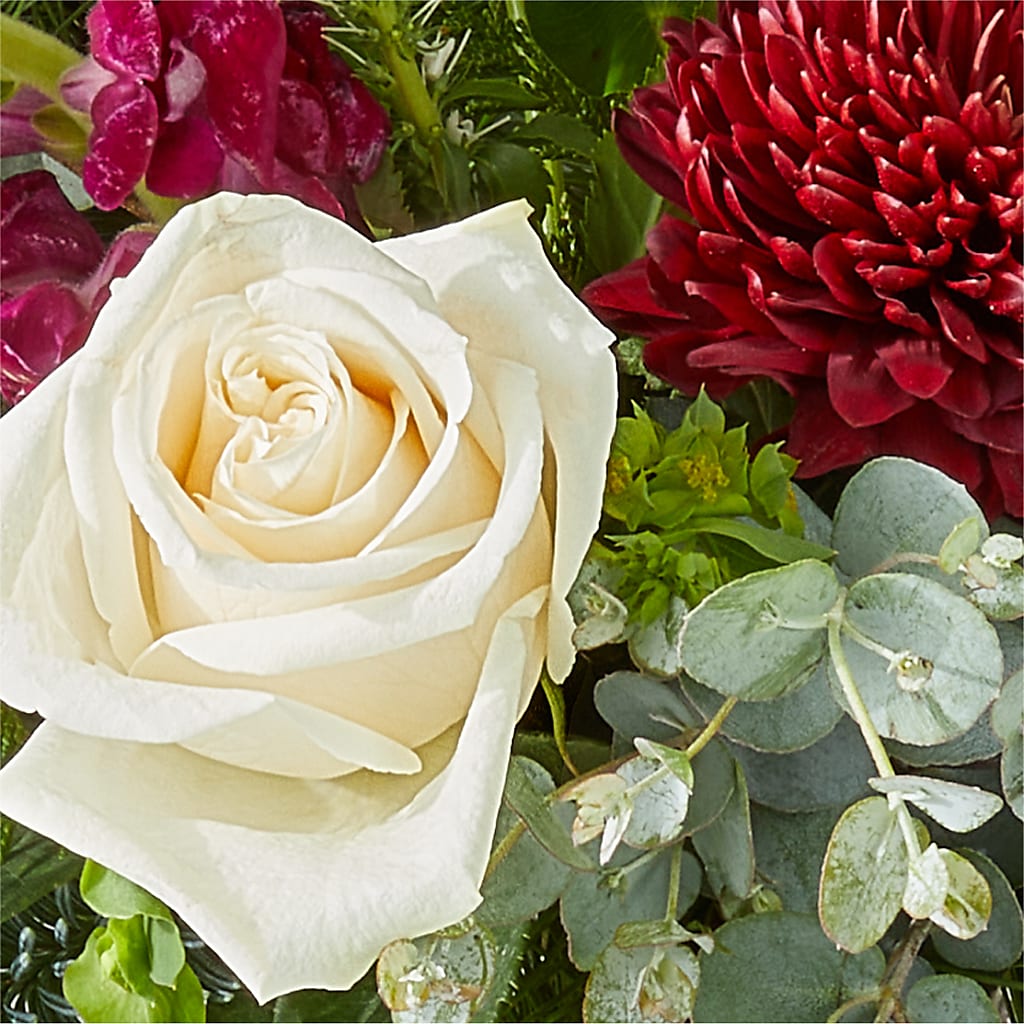 Cranberry Fizz Bouquet –  Hy-vee, West Des Moines IA