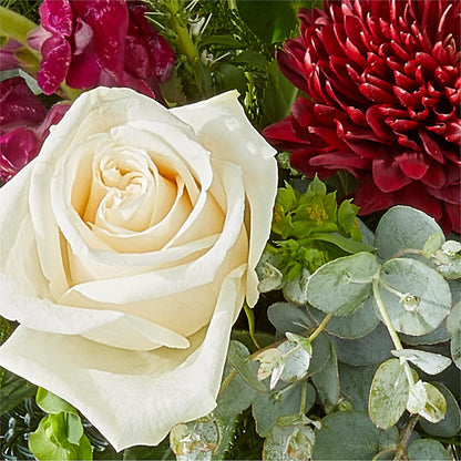 Cranberry Fizz Bouquet –  Hy-vee, West Des Moines IA