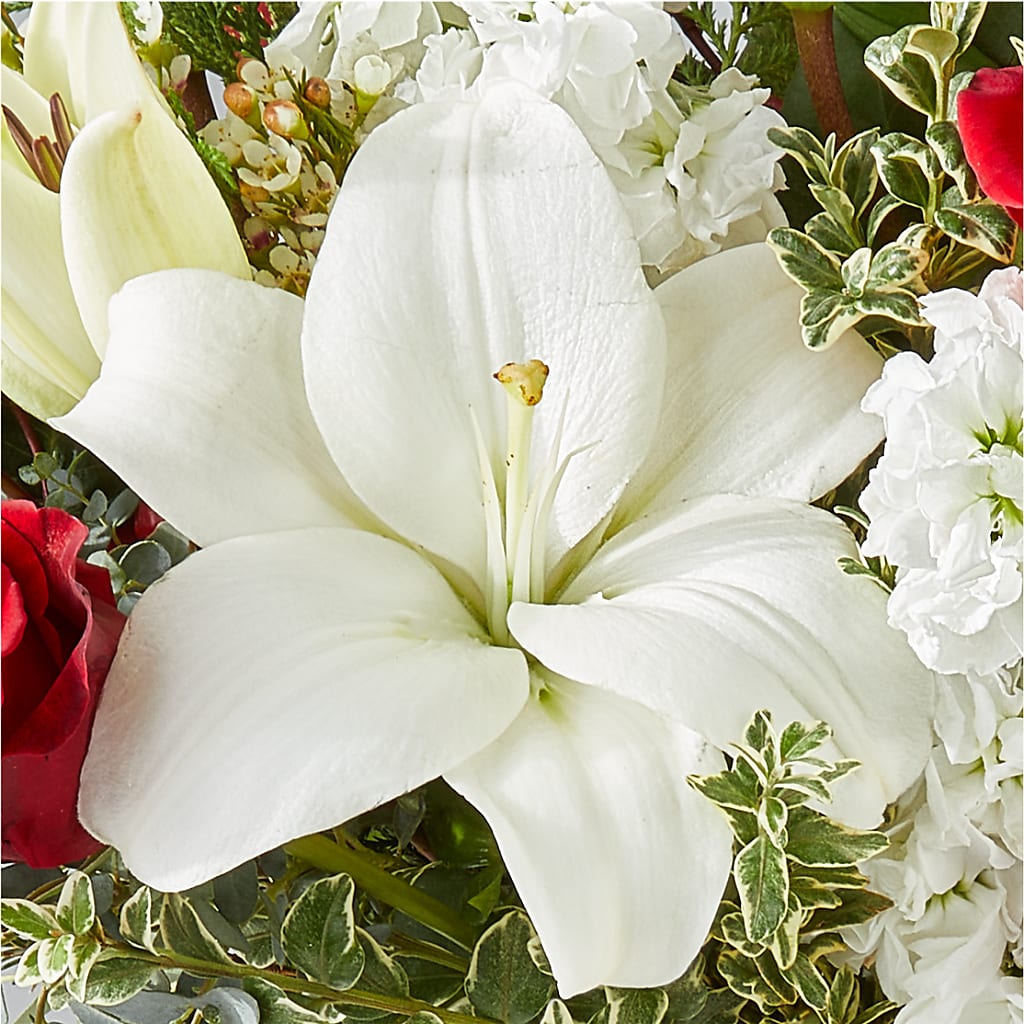 Twinkle Lights Bouquet –  Hy-vee, West Des Moines IA