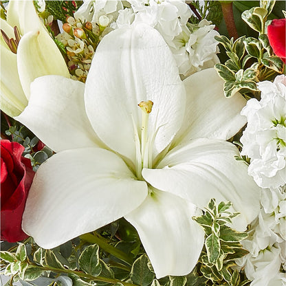 Twinkle Lights Bouquet –  Hy-vee, West Des Moines IA