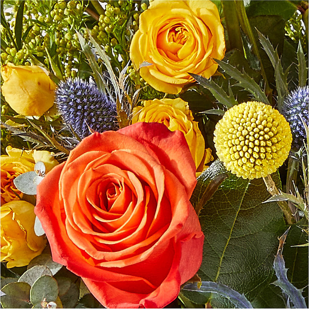 Disco Bouquet –  Hy-vee, West Des Moines IA