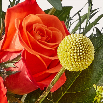 Disco Bouquet –  Hy-vee, West Des Moines IA