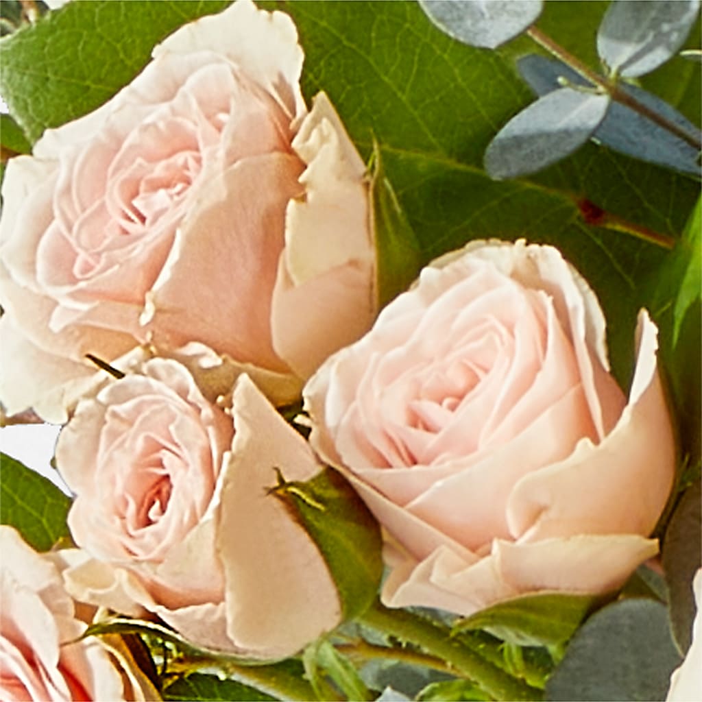 Inspired Bouquet –  Hy-vee, West Des Moines IA