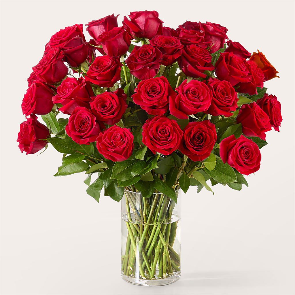 The One Red Rose Bouquet –  Hy-vee, West Des Moines IA