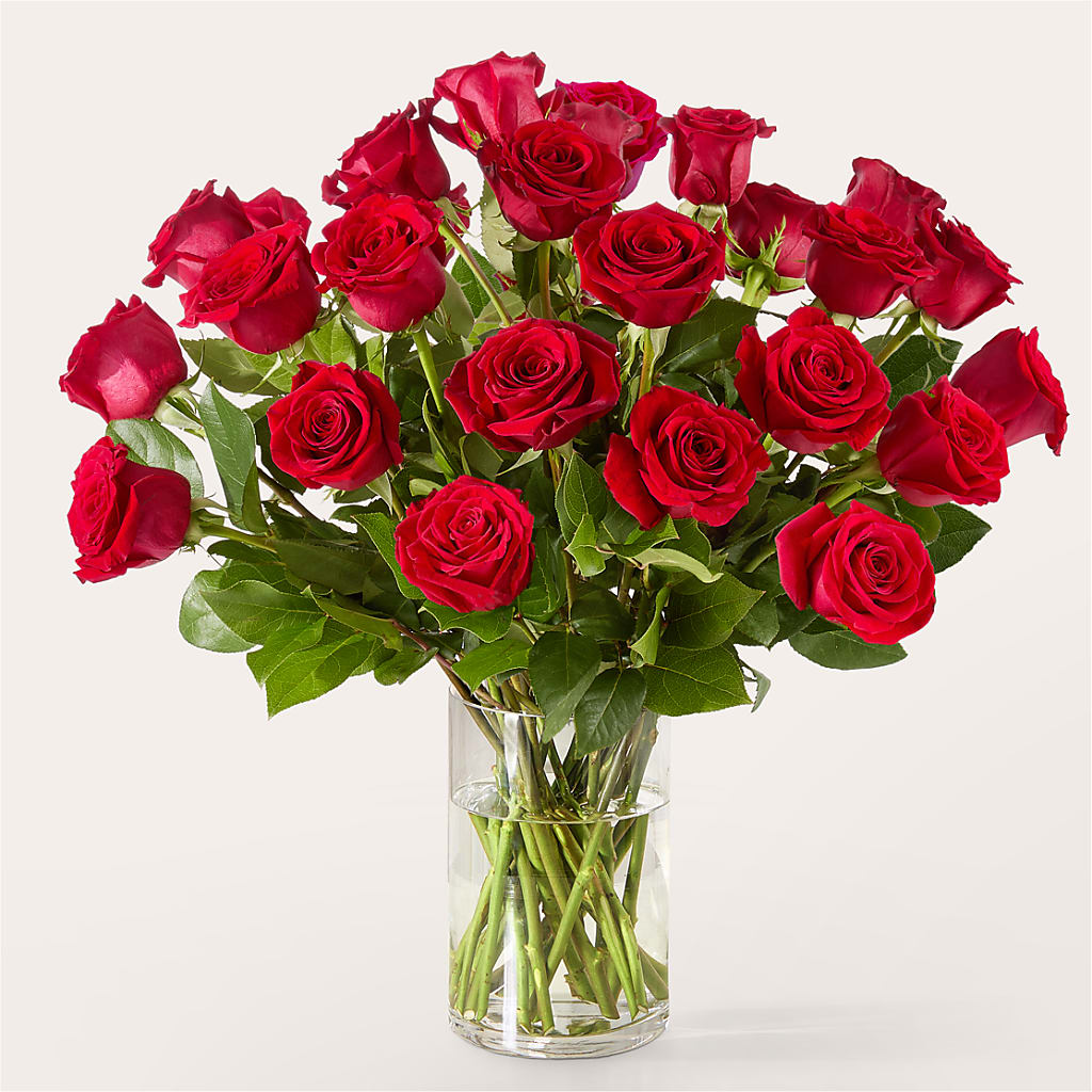 The One Red Rose Bouquet –  Hy-vee, West Des Moines IA