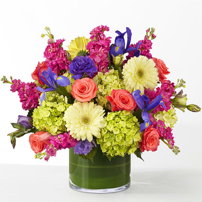 The Couture –  Hy-vee, West Des Moines IA